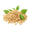 Pro Vitamin B-5