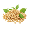 Pro Vitamin B-5