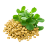 Pro Vitamin B-5